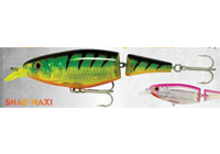 Shad Maxi