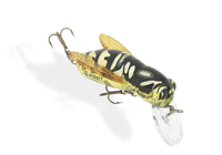 Bumble Bug